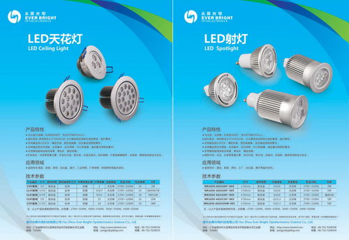 惠州永暉光電節(jié)能燈 產(chǎn)品畫冊(cè) 攝影設(shè)計(jì) 東莞比高品牌設(shè)計(jì)創(chuàng)意公司 代表作品 東莞標(biāo)志設(shè)計(jì) 東莞畫冊(cè)設(shè)計(jì)目錄 東莞品牌形象 東莞攝影公司 東莞vi設(shè)計(jì) 東莞logo設(shè)計(jì)